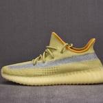 Adidas Yeezy Boost 350 V2 Marsh Fx9034