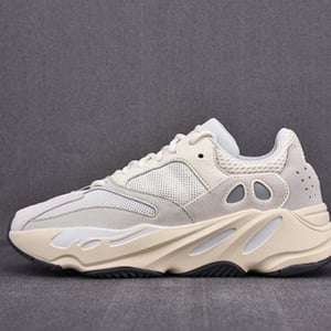Adidas Yeezy Boost 700 Analog Eg7596