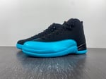 Air Jordan 12 Gamma Blue 130690-027 - Image 3