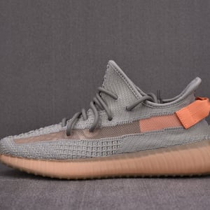 Adidas Yeezy Boost 350 V2 True Form Eg7492