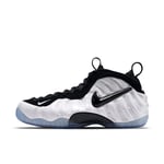 Nike Air Foamposite Pro 'Class of 97' 624041-100